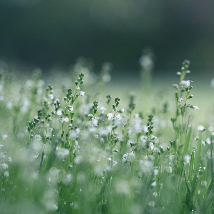 Low-impact nature route